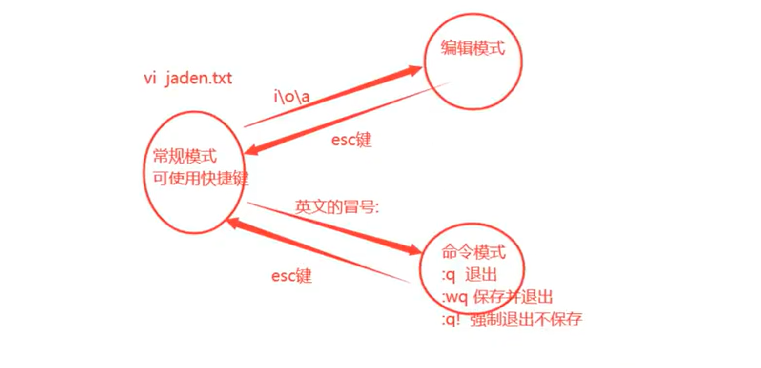 image-20250311204617571