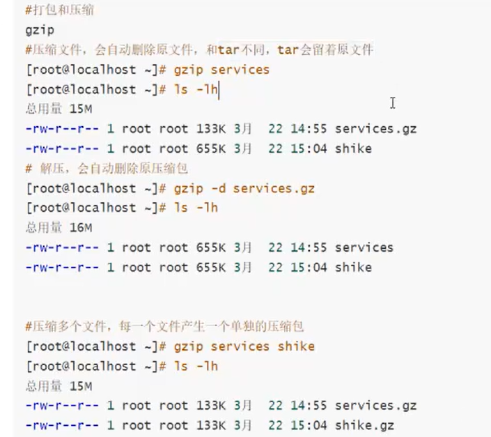 image-20250316133207467
