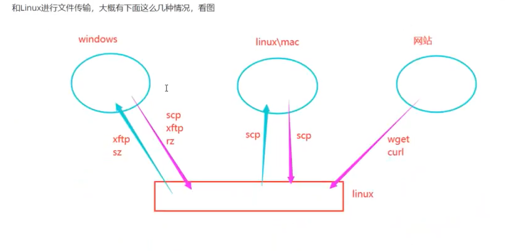image-20250316145111146