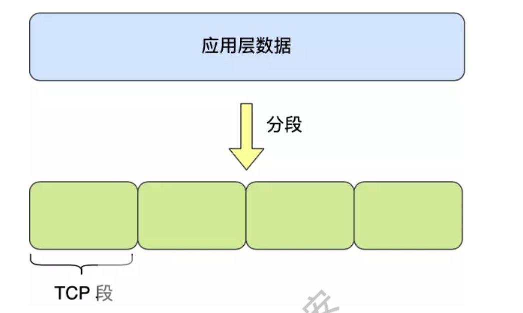 image-20250324205650387